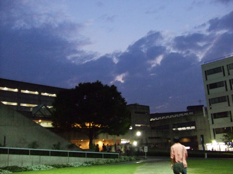学校
