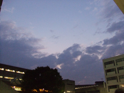 学校